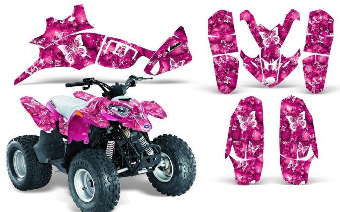 Amazon.com: Skulls N Butterflies-AMRRACING Quad Graphics decal kit